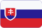Gouvernails en composite pour catamarans Slovensky